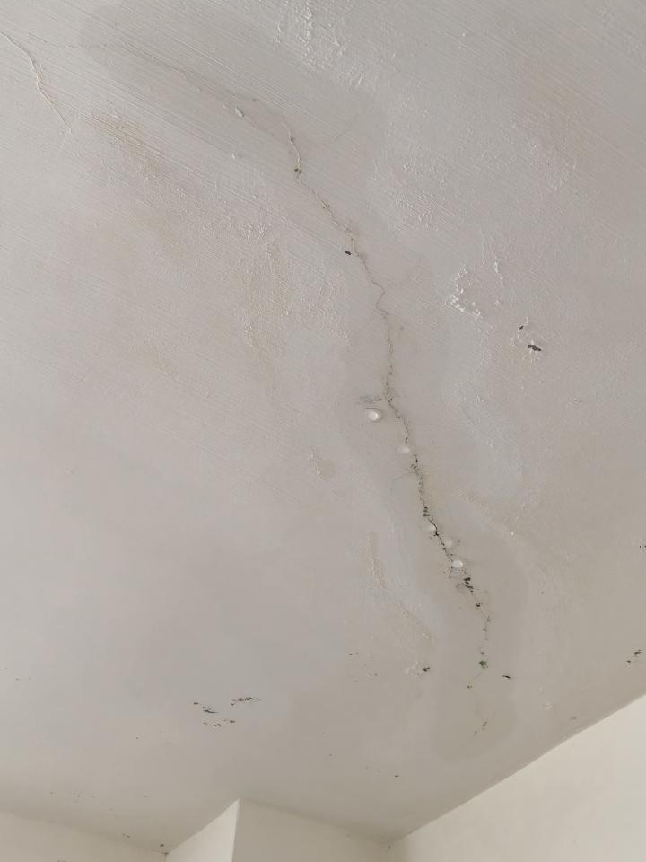 屋頂防水案件圖片