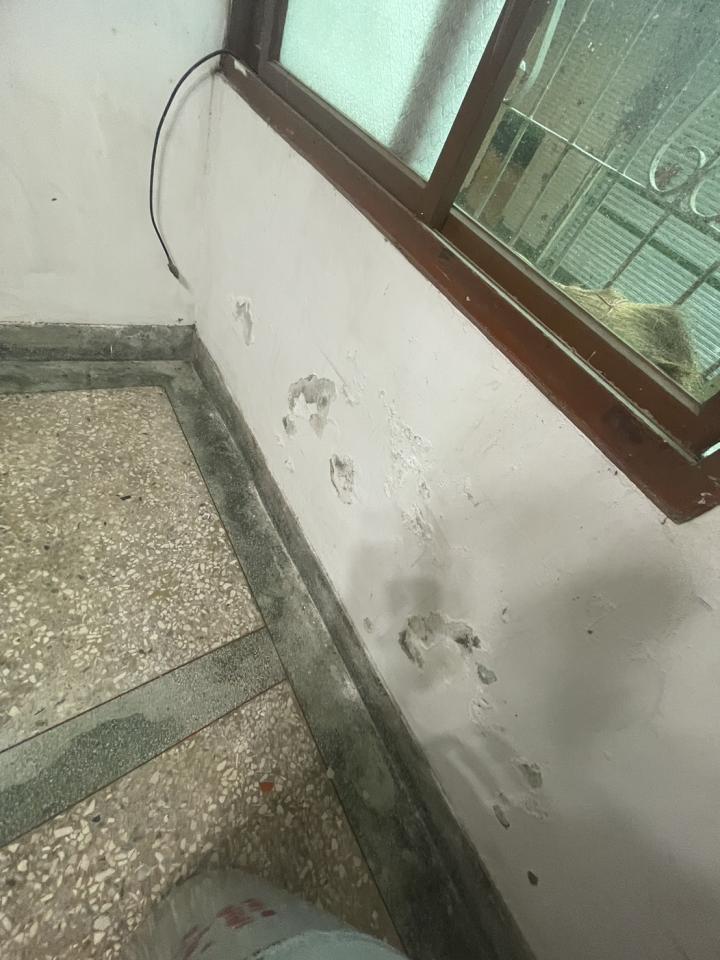 油漆工程案件圖片