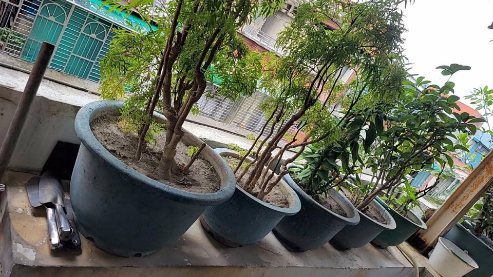 大型垃圾回收案件圖片