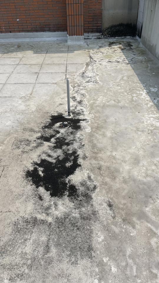 屋頂防水案件圖片