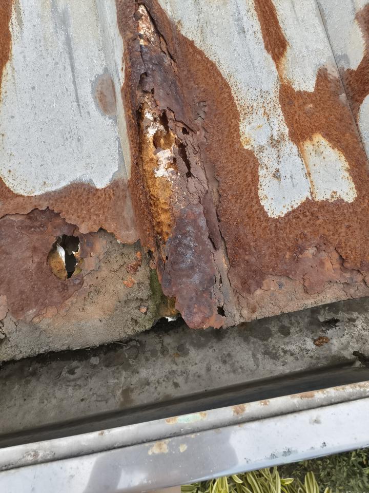 鐵皮屋頂案件圖片