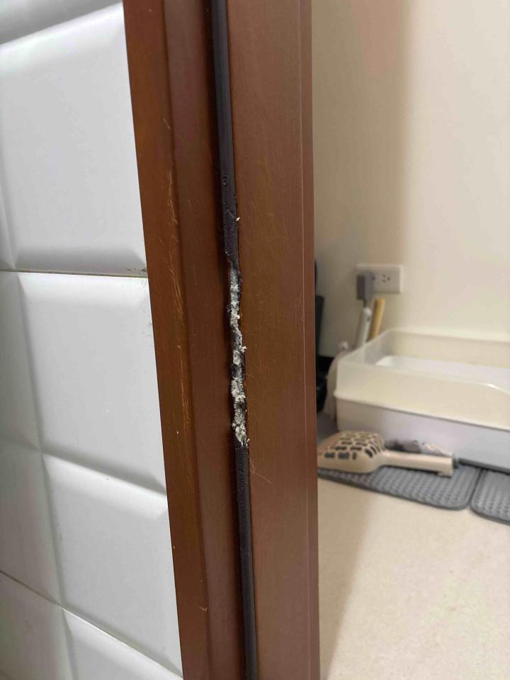 浴室門案件圖片