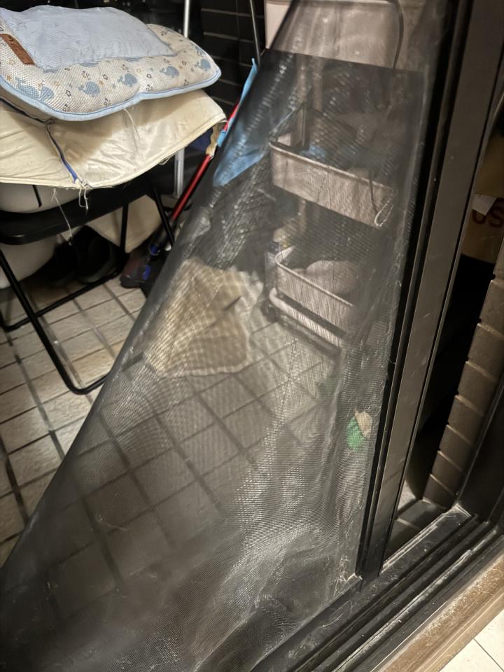 紗窗裝修案件圖片