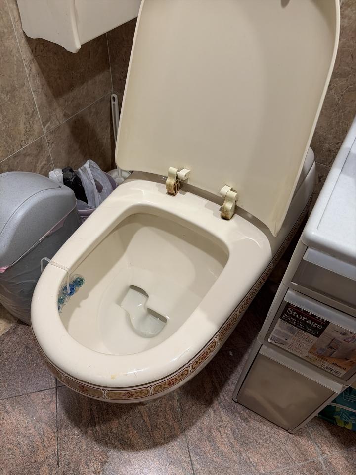 馬桶裝修案件圖片