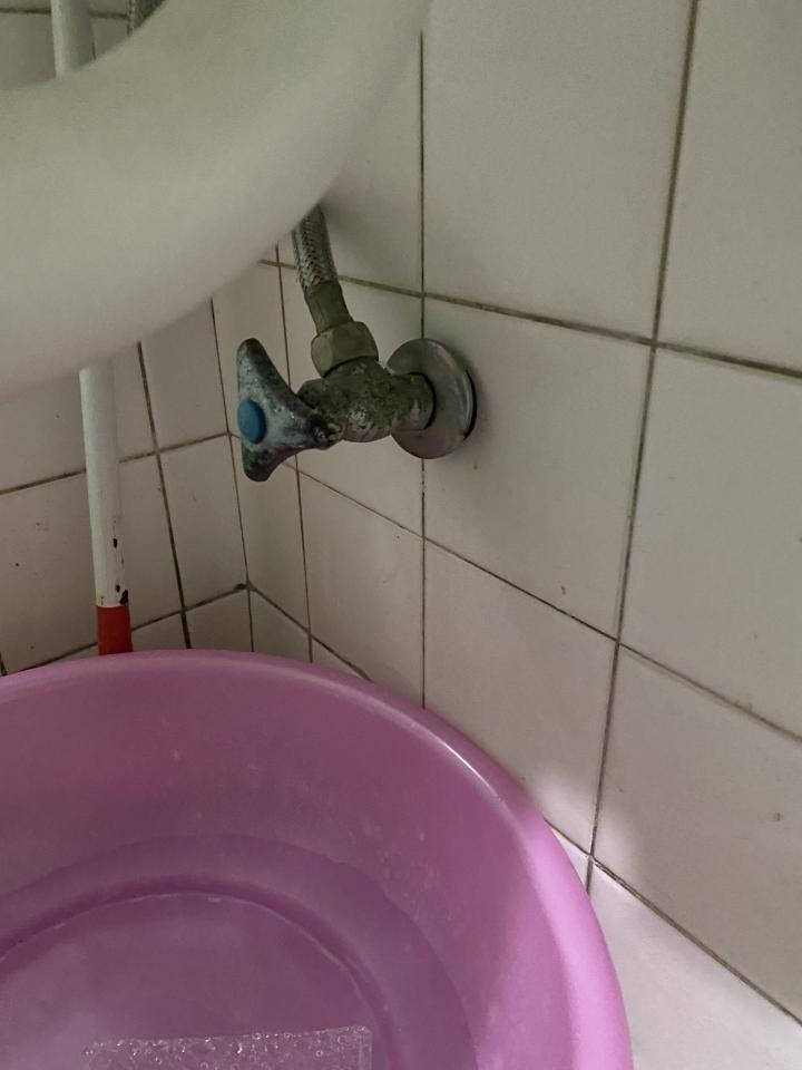 馬桶裝修案件圖片