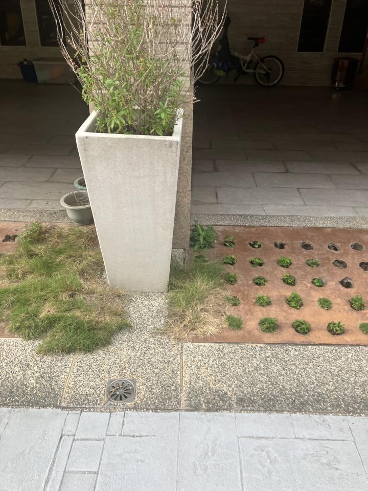 園藝維護案件圖片