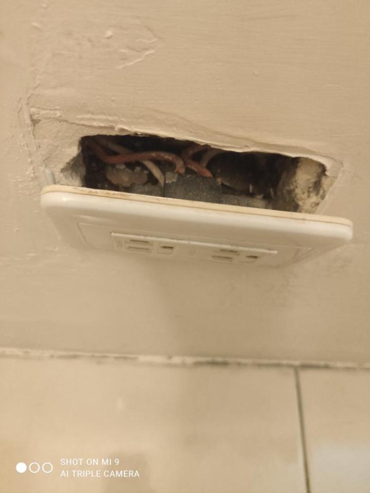 電線裝修案件圖片