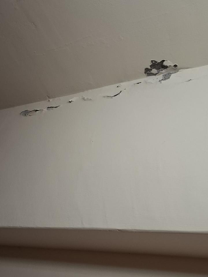 壁癌處理案件圖片