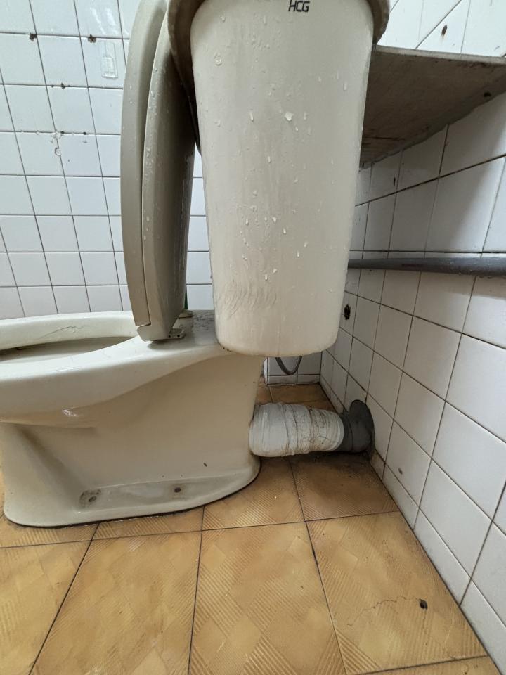 馬桶裝修案件圖片