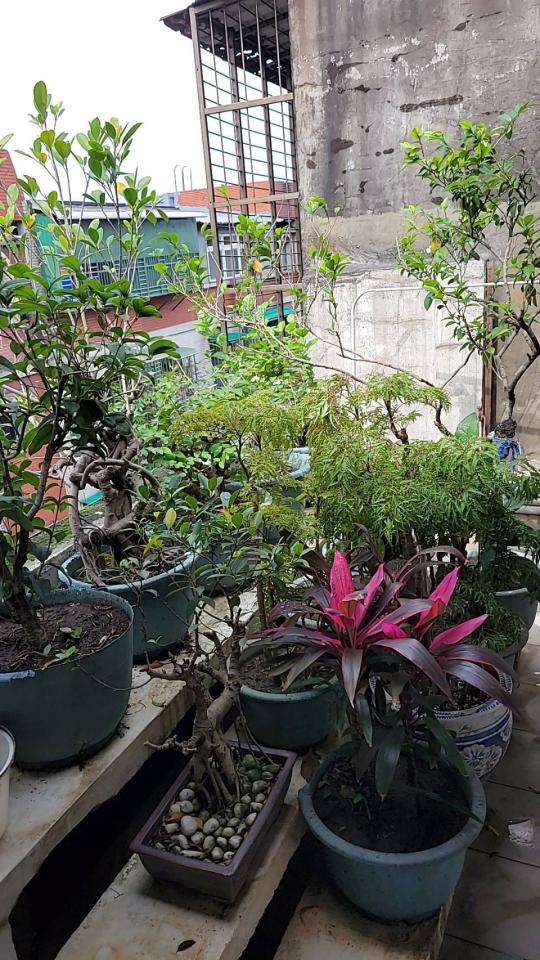 大型垃圾回收案件圖片