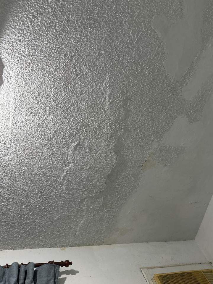 壁紙施工案件圖片