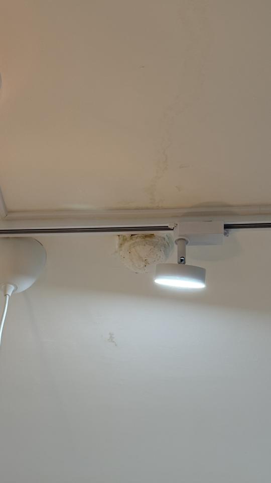 屋頂防水案件圖片