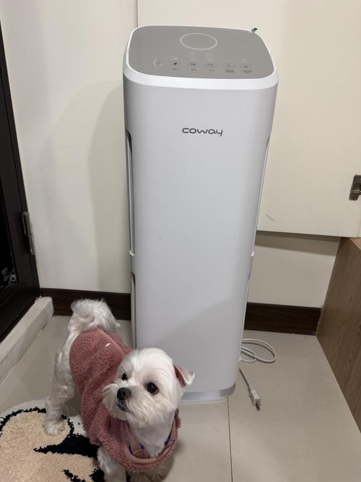 大型垃圾回收案件圖片