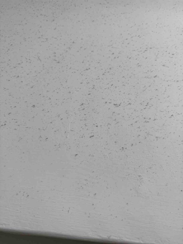 油漆工程案件圖片