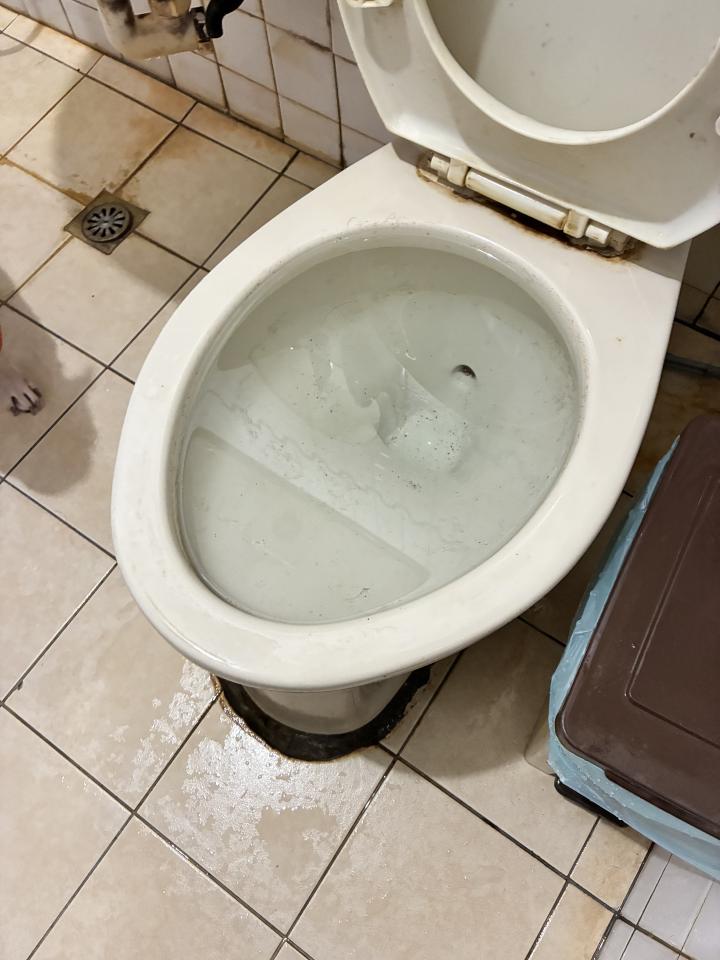 馬桶裝修案件圖片