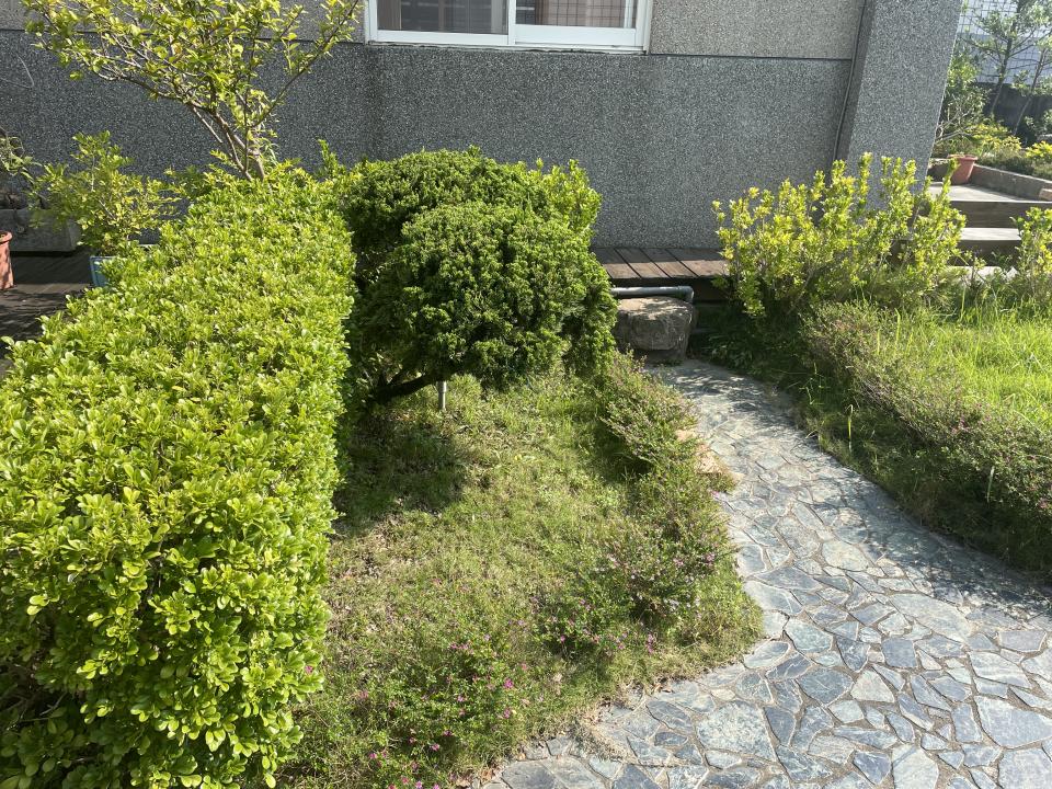 園藝維護案件圖片