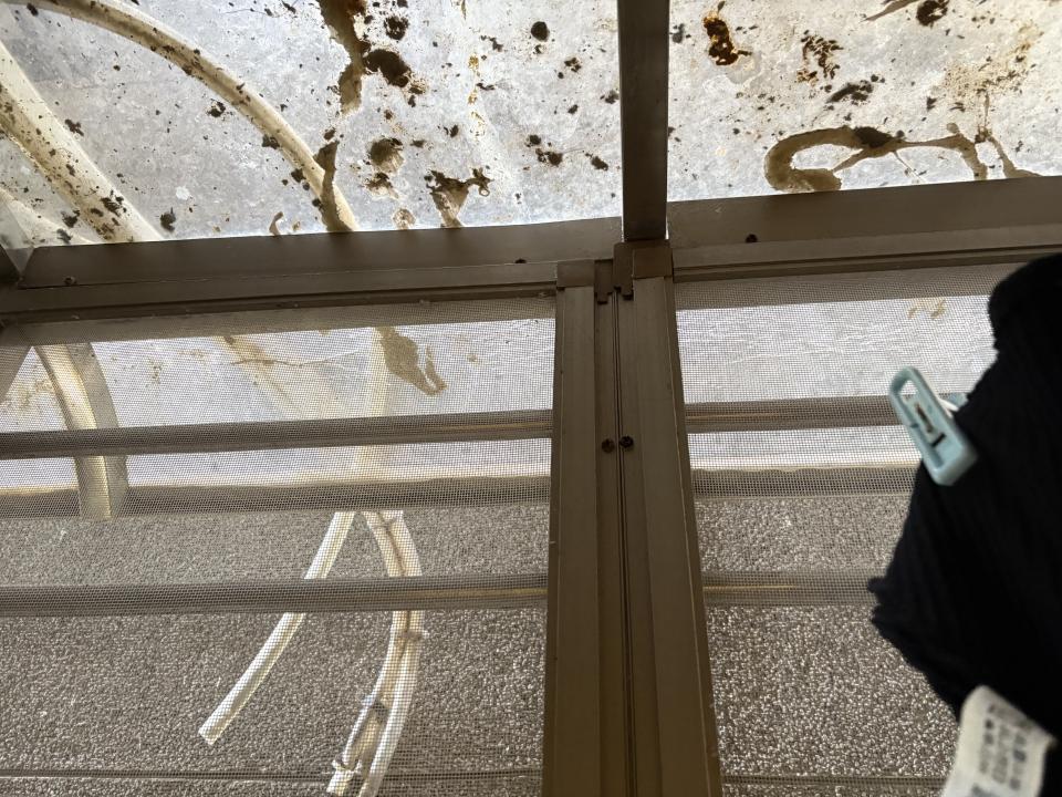 採光罩案件圖片