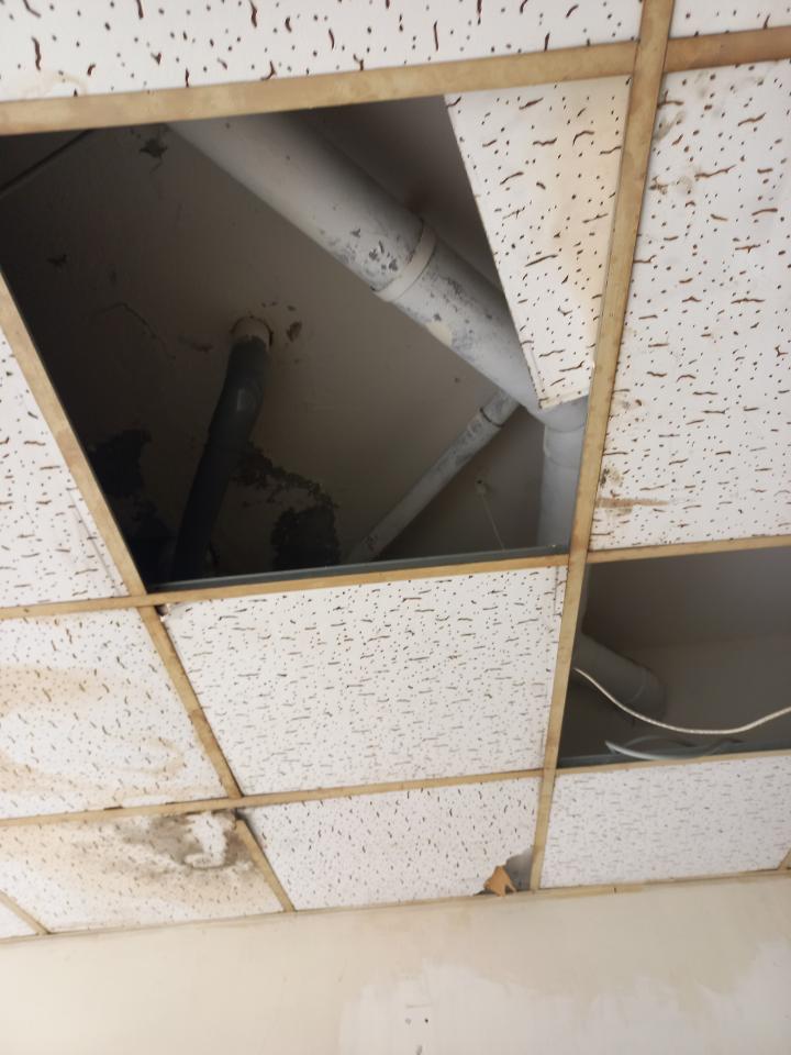 老屋翻新案件圖片