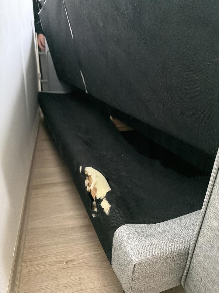 沙發修理案件圖片