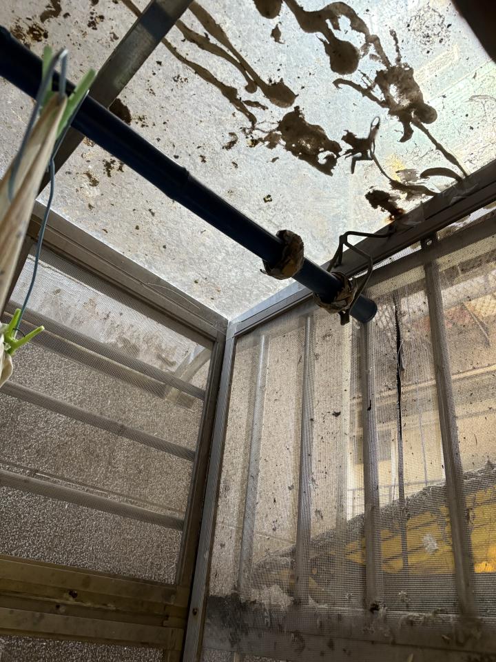 採光罩案件圖片