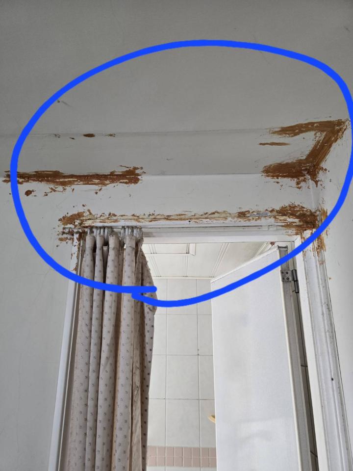 油漆工程案件圖片