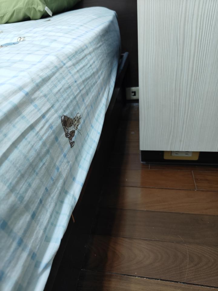 拆除工程案件圖片