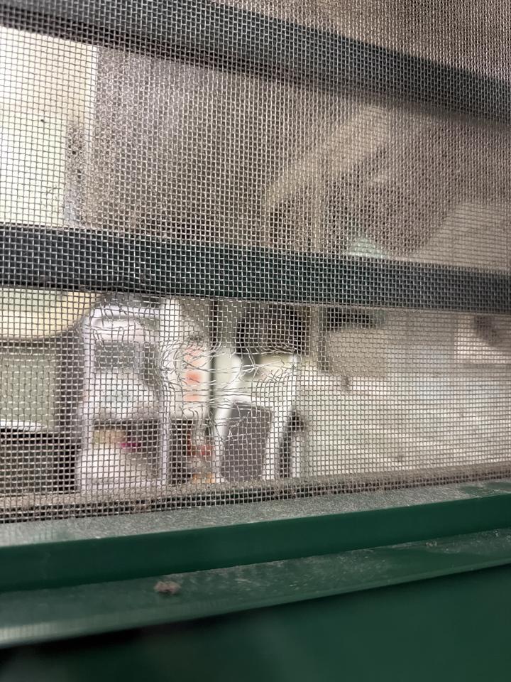 紗窗裝修案件圖片