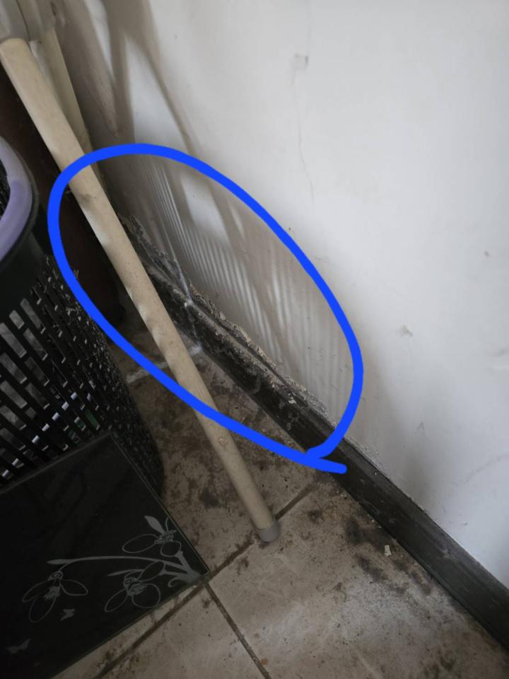 油漆工程案件圖片