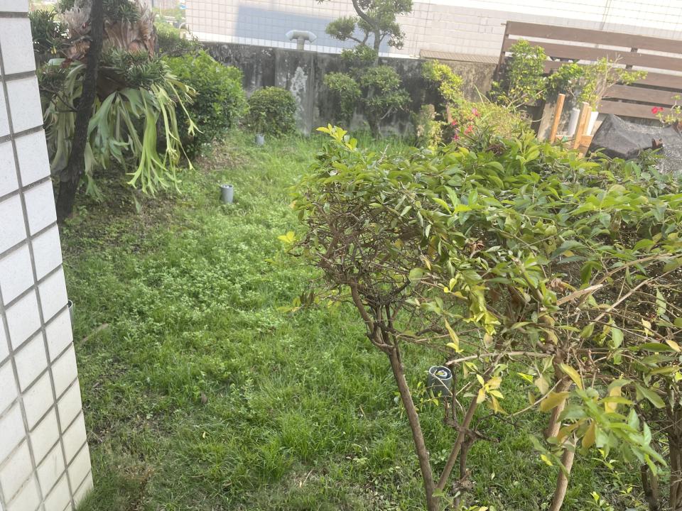 園藝維護案件圖片
