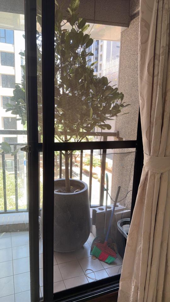 紗窗裝修案件圖片