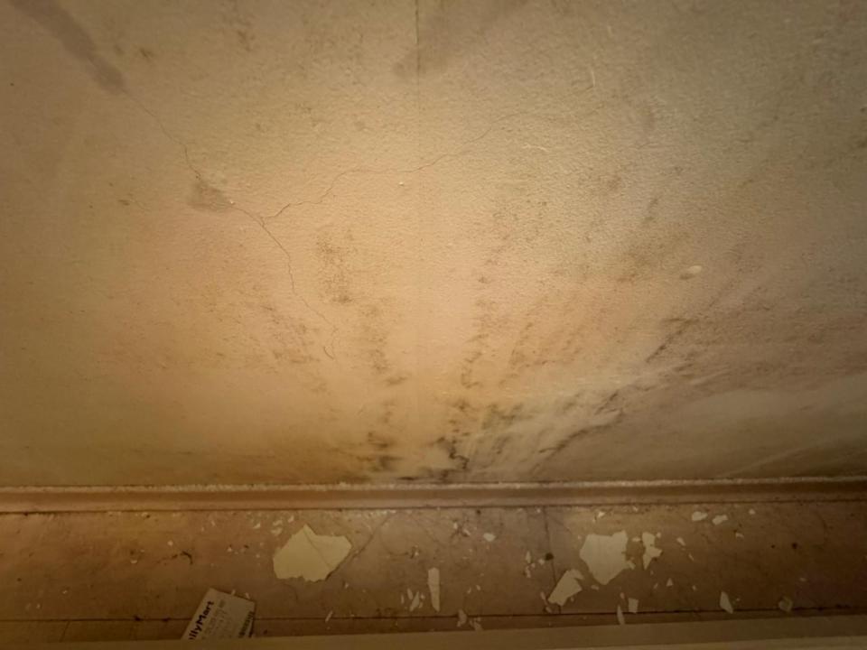 壁癌處理案件圖片