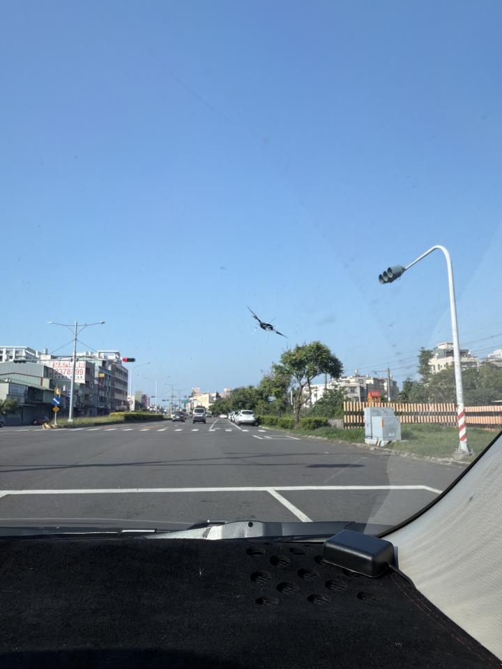 汽車玻璃修補案件圖片