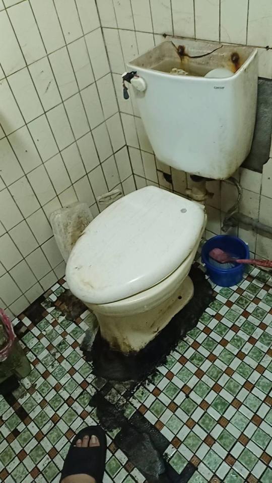 馬桶裝修案件圖片