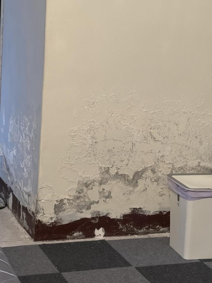 油漆工程案件圖片