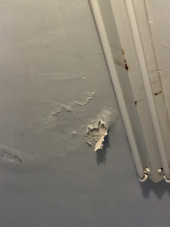 油漆工程案件圖片