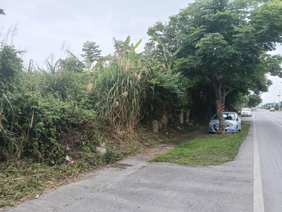 園藝維護案件圖片