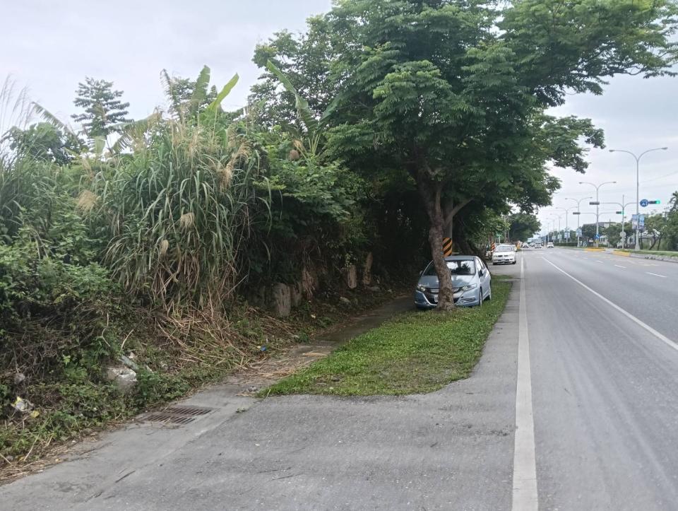 園藝維護案件圖片