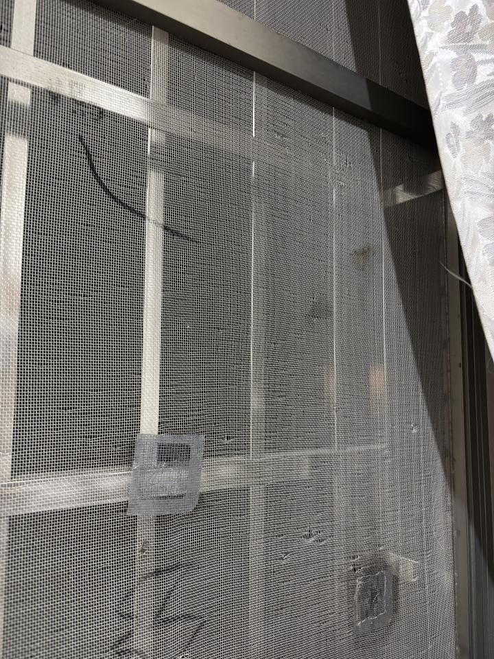 紗窗裝修案件圖片