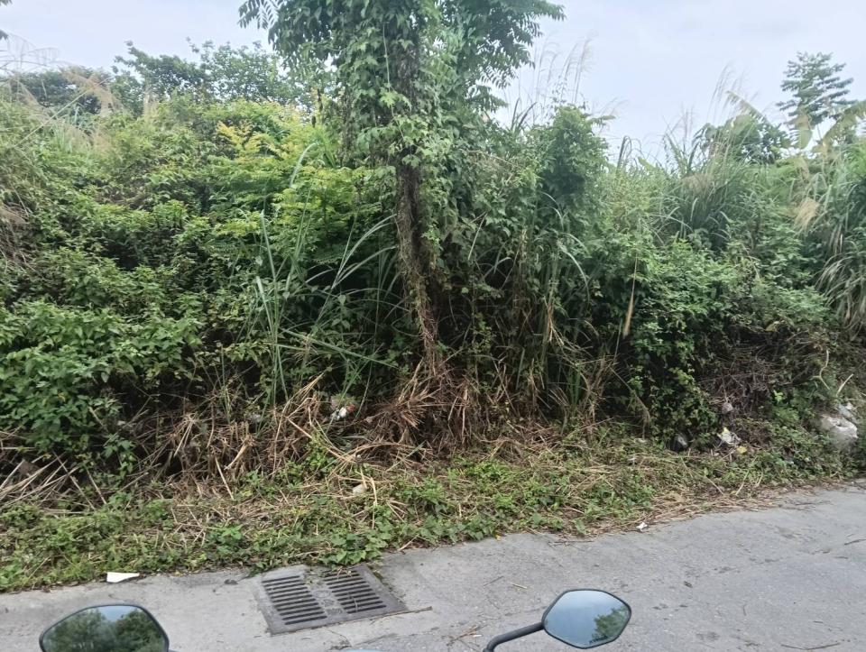 園藝維護案件圖片