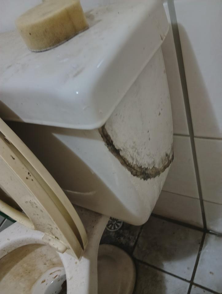 馬桶裝修案件圖片