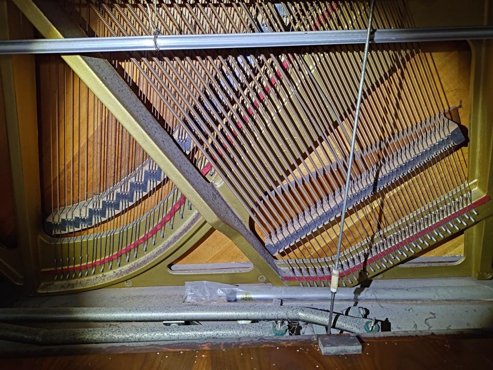 樂器行案件圖片