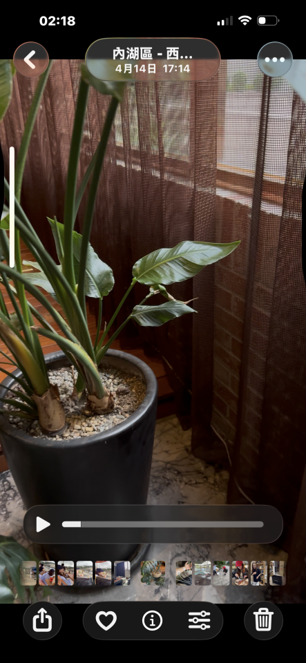 園藝維護案件圖片