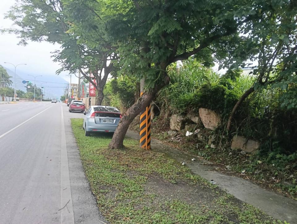 園藝維護案件圖片