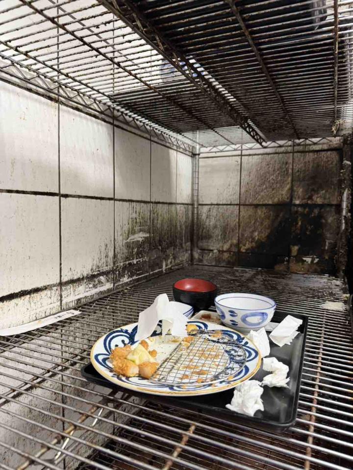 廚房清潔案件圖片