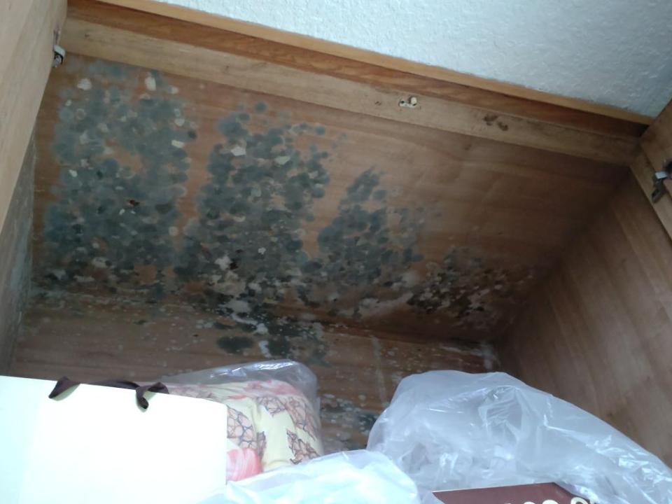 波音軟片施工案件圖片