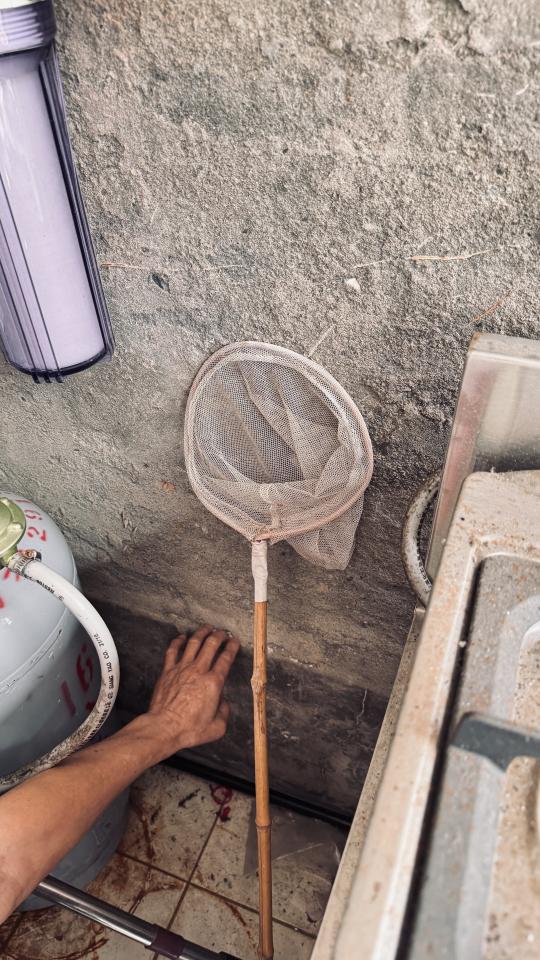 泥作/水泥施工案件圖片