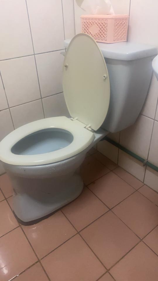 馬桶裝修案件圖片