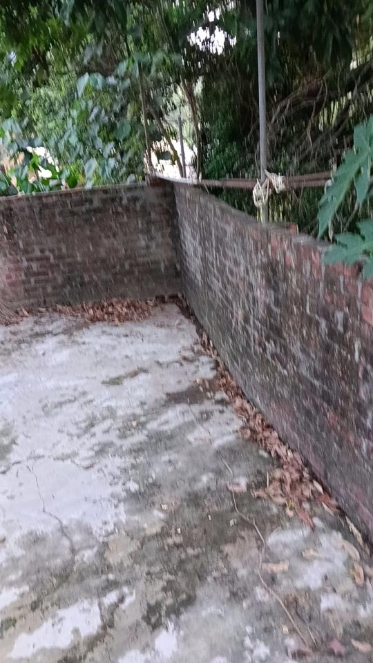 泥作/水泥施工案件圖片