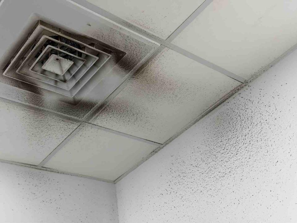 廚房清潔案件圖片