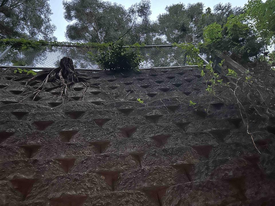 園藝維護案件圖片